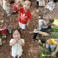 �ޱ߽����Ȼ����|�γ���ϵ