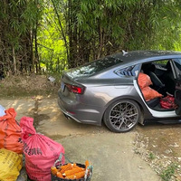 ������ҳ������������Ļ������������˶���Ĭ�ˡ�