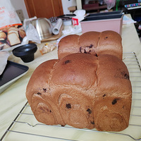 �������ʲô����˾����