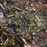 �������Ҫ������Ƚ��������