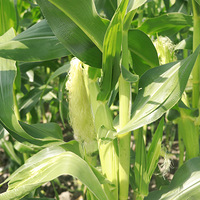 �B�������|������ժ����