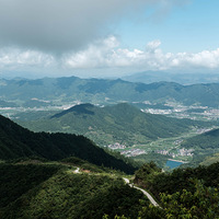 ���Ż�������ɹͼ