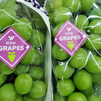 ���������ŵ�ˮ��