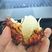 ��ë����ζ���ܹ���