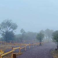 ���Ұ���Ӫ�أ����������������������