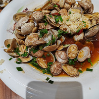 �������ʲô���տ�