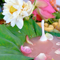 �Ժ�����ʱ��ÿһ�ڶ��������ζ��