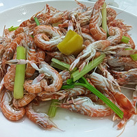 ����ɮ�����ԡ����ڡ�����ͷ��