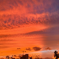 �Ⱥ��̵������ġ�������ϼ