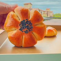 �ճ�����