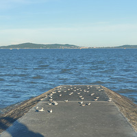 7�����������