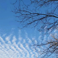 �����������ĵ�һ������������Щ֪ʶ�������Ӱɣ�