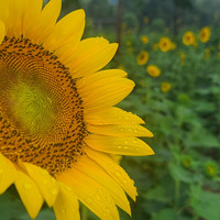 �ּ���̫��������