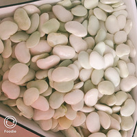 �������ʲô�����ﶹ