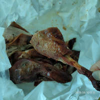 �������ʲô����Ѽѽ