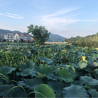 ��2023�μǡ�����κ��