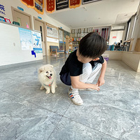 ����ٴ��ޡ����β���ˣ�����Ҫ��ѧ�ˣ�