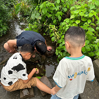 ����ѧ���ޡ�������ͯ��ֻ����������