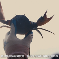 Ѱζ̨��ح��罥��һ����ظ�ƿǱ��Ļ����P