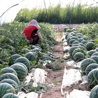 6���˴�ҵ��150�ڲ�ֵ��̨���ˡ����ϵ��ﳤ���عϡ���