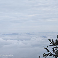 Ħ������ɽ���������ƺ�