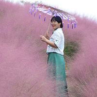 ����ֲ��԰�ķ��컨����