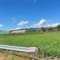 ��2023�����ռǡ����������տ�����