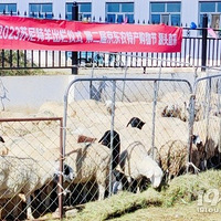 �й��������֮һ����������մ��ģ������40��ֻ������۸���