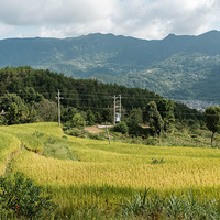 ��ˮ���̹��Ѳɽ������