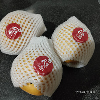 �������ʲô��������