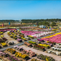 ��ѣ���ۣ���ӭ���������Ż����ˣ�