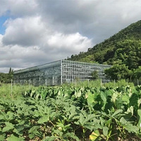 ���ն���Ӫ|��Ȼũ���γ̣����󡱼�����