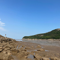 ����һ�ƽ�����ɽ��������ɽ�۾���