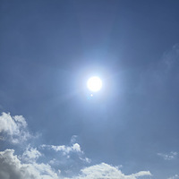 ������ھ�������