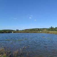 Ѱ�����е�ʫ��Զ������������