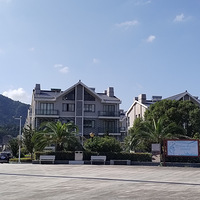 ������ڣ�С֥���