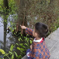 ��������ޡ�������԰�Ͷ�����Ժ