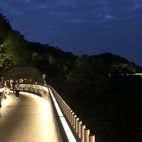 ��������ޡ�������԰���̵���������