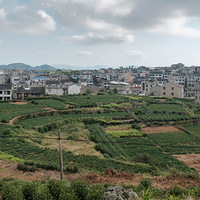 ӿȪ�����ϸ߷壨��ƺͷ����ɫ����