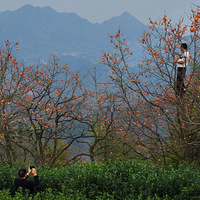 ��һ����������show����̨�ݡ���ɫ����