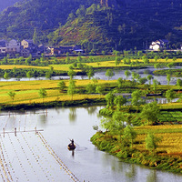 ����������ң�һ�Ź�·�ϵġ����ء��ٺ�����