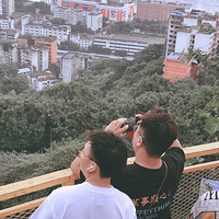 ���ɶ��ڷ���𰸾���·��