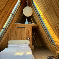 ��������ޡ���ͨɭ��Ұ������԰���ϣ�