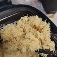 ���޻�һ�����������ɣ��Լ�Ҳ������