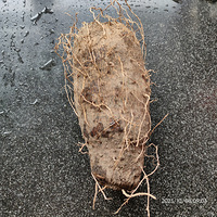 �������ʲô���峴ݪҩ