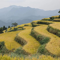 ��������̨�ݵ��̽�����������