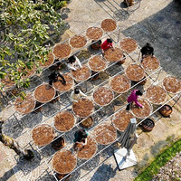 ʡ�����ͣ���̨��һ�����ɹ���ѡ��