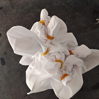 ��������ޡ���������Ⱦ