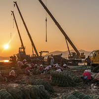 ����ˮ�ź���������ֳ�ߣ�����Ͷ����򡰹�עһ����