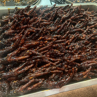 �������ʲô�������ϱ�